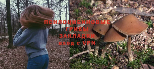 бошки Абдулино