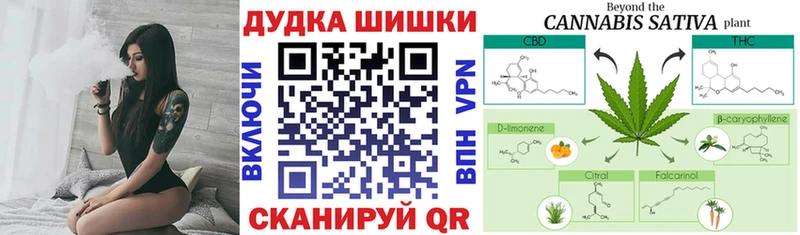 Бошки Шишки план  Каменногорск 